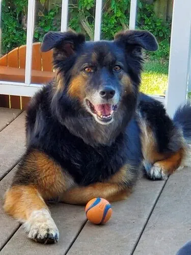 Didier Profile image 3