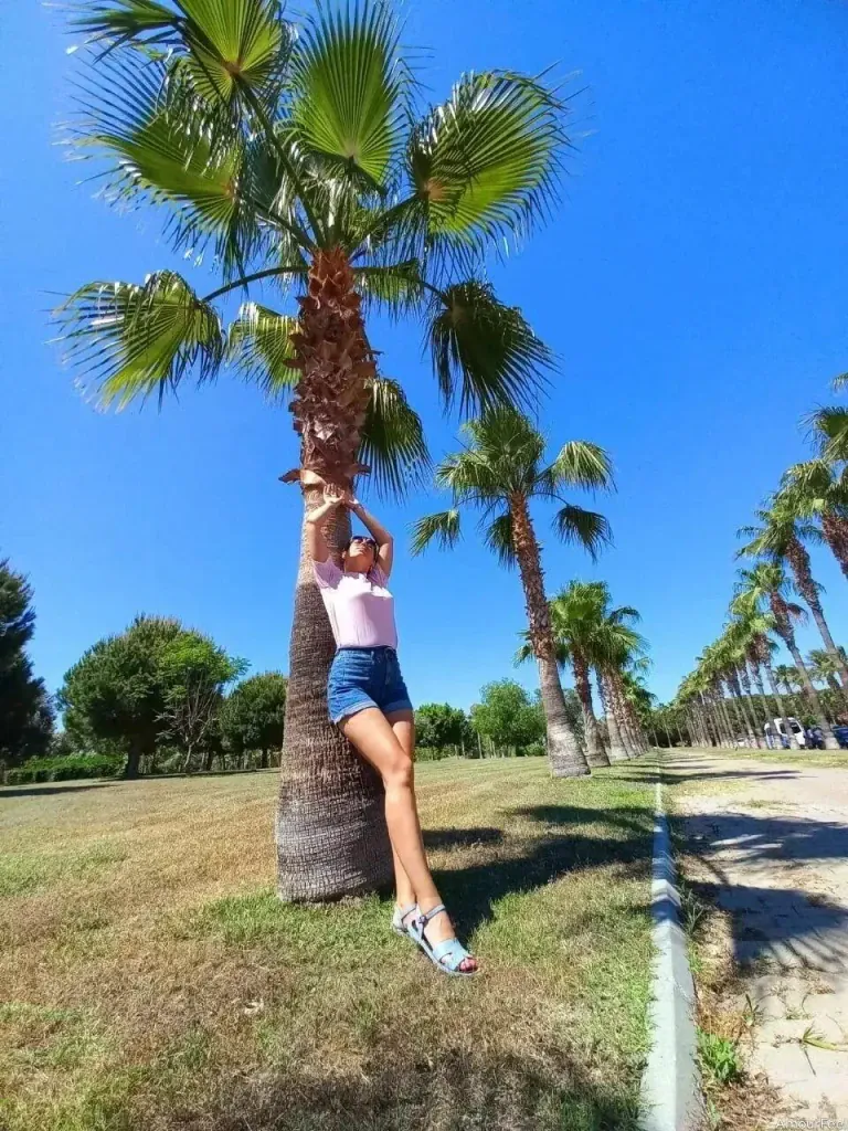 Elena Pryakhina Profile image 7