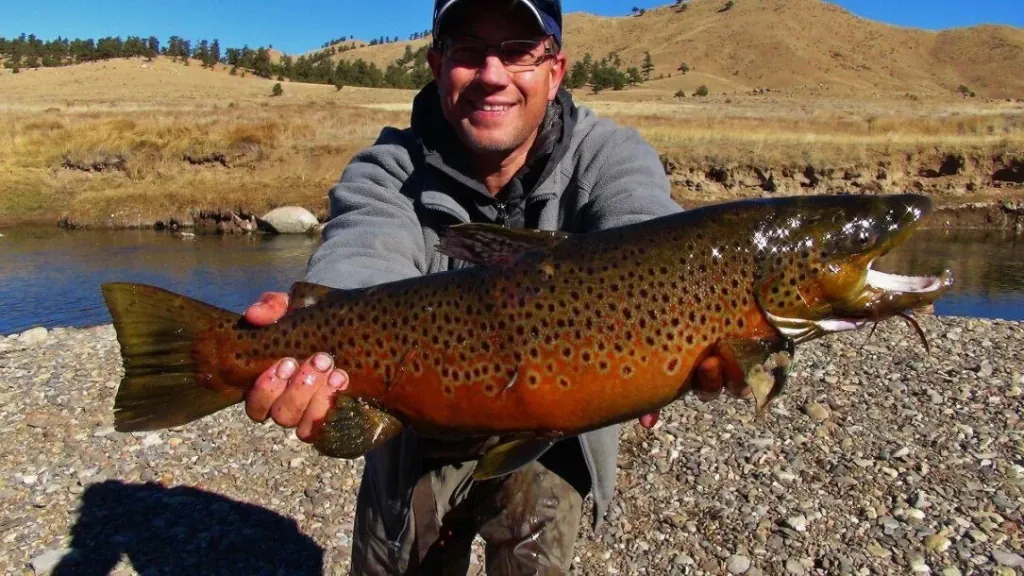 John Skarina Profile image 1